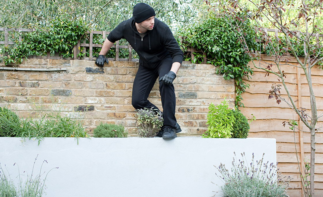 Burglar climbing on wall