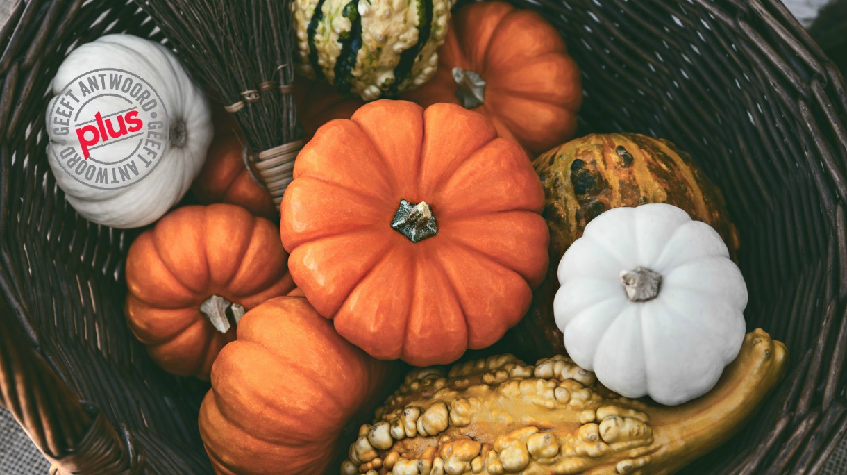 Colorful Pumpkins In A Basket In Autumn Season