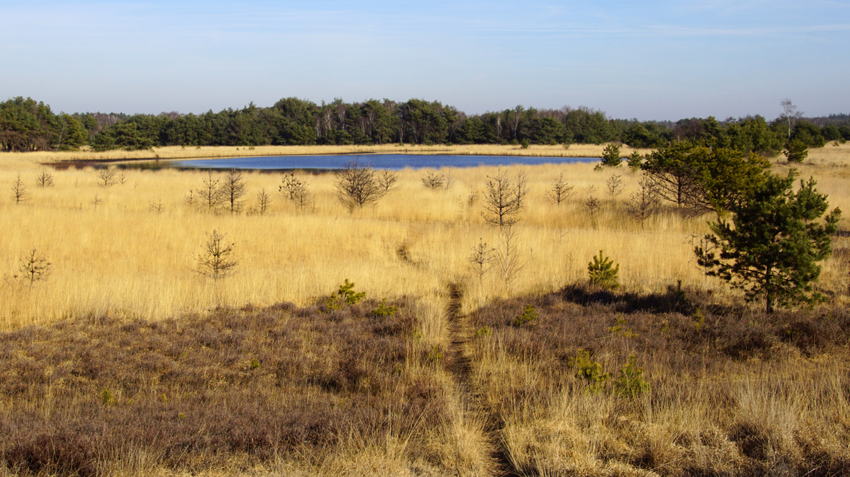 strabrechtse-heide