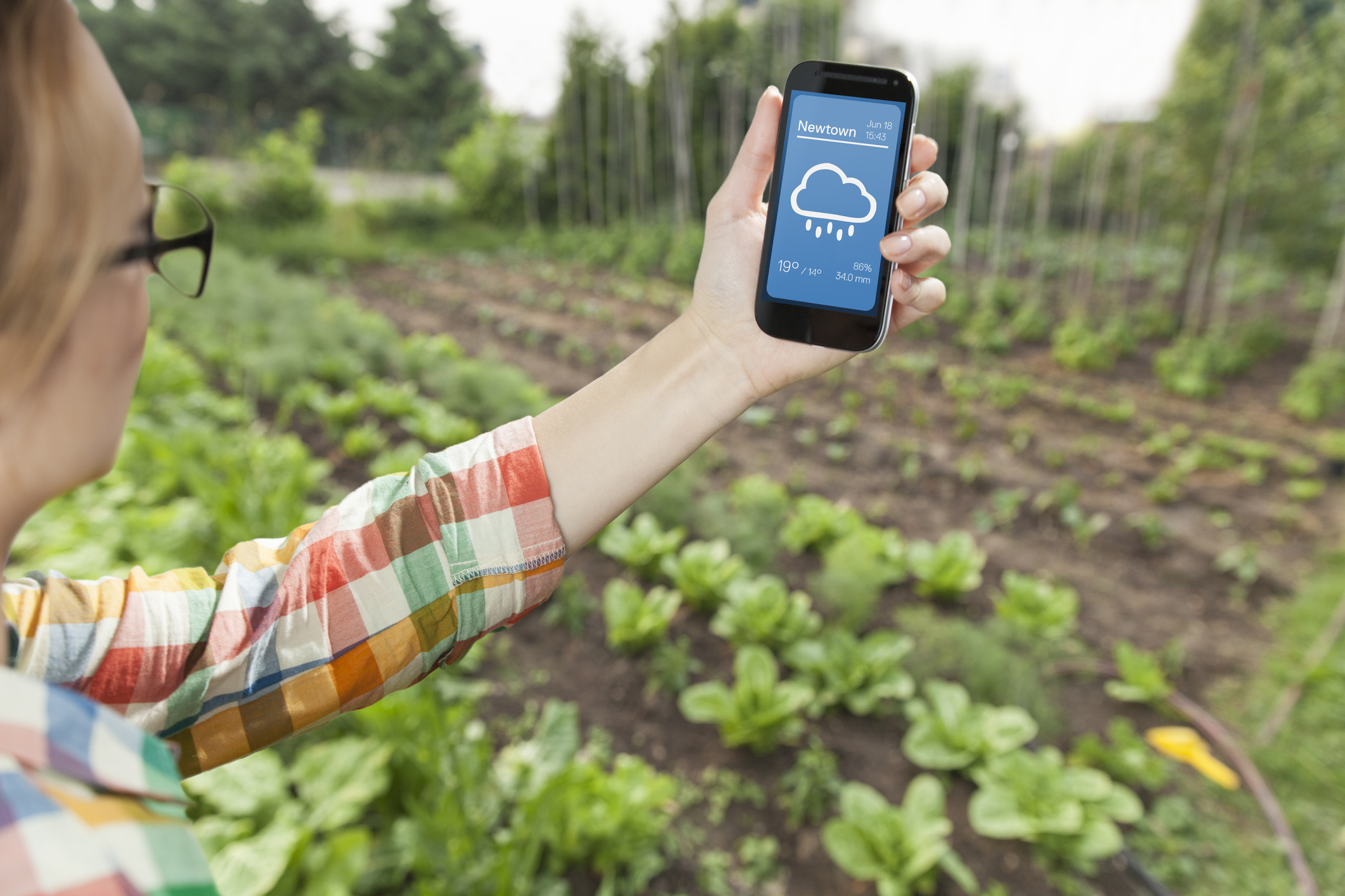 Female gardener holding weather app on smart phone