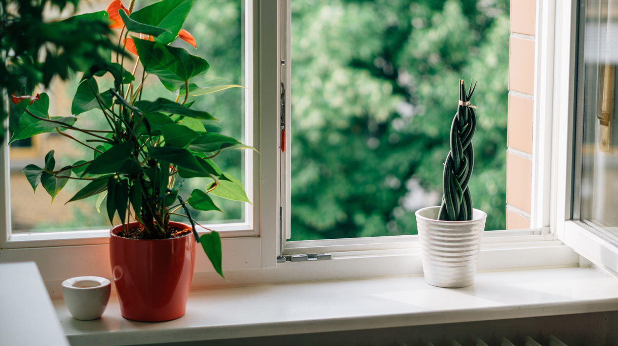 planten-verwarming