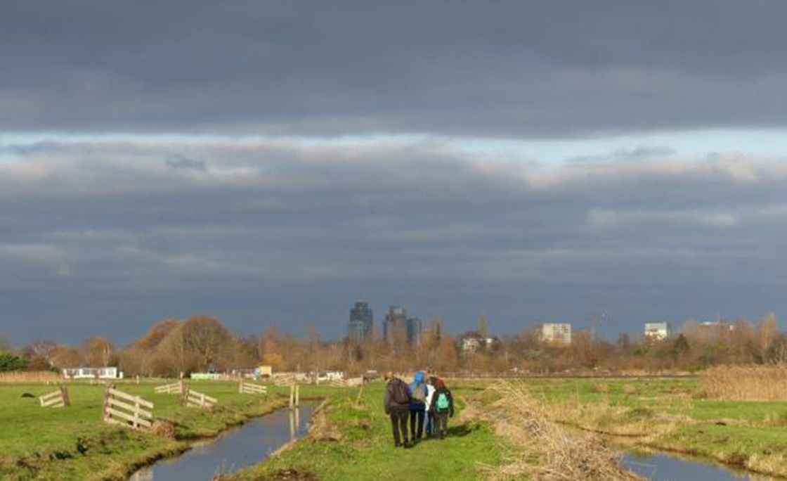 amstelveenwandel3