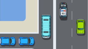 verkeersregelaar.223