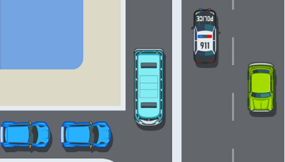 verkeersregelaar.223
