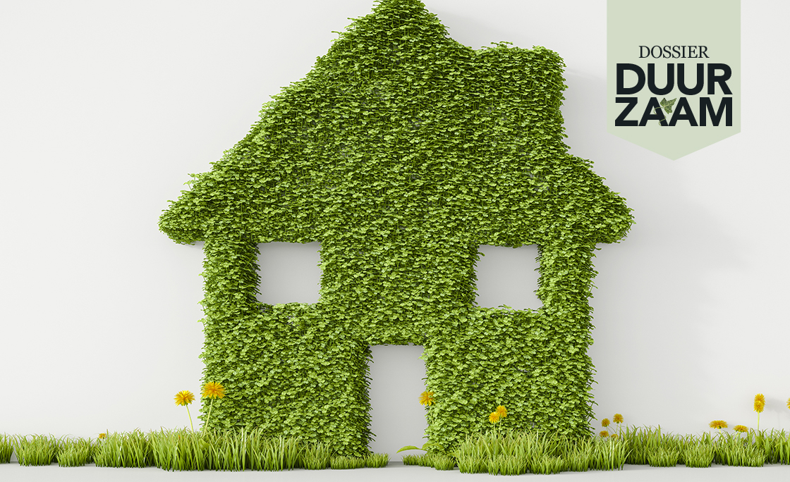 3D Rendering, House from grass on wall, copy space
