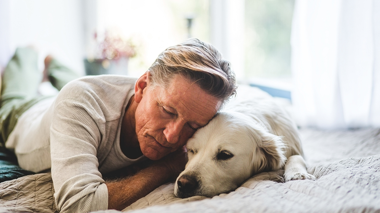 Retired man sleeping with dog comfortably on bed at home