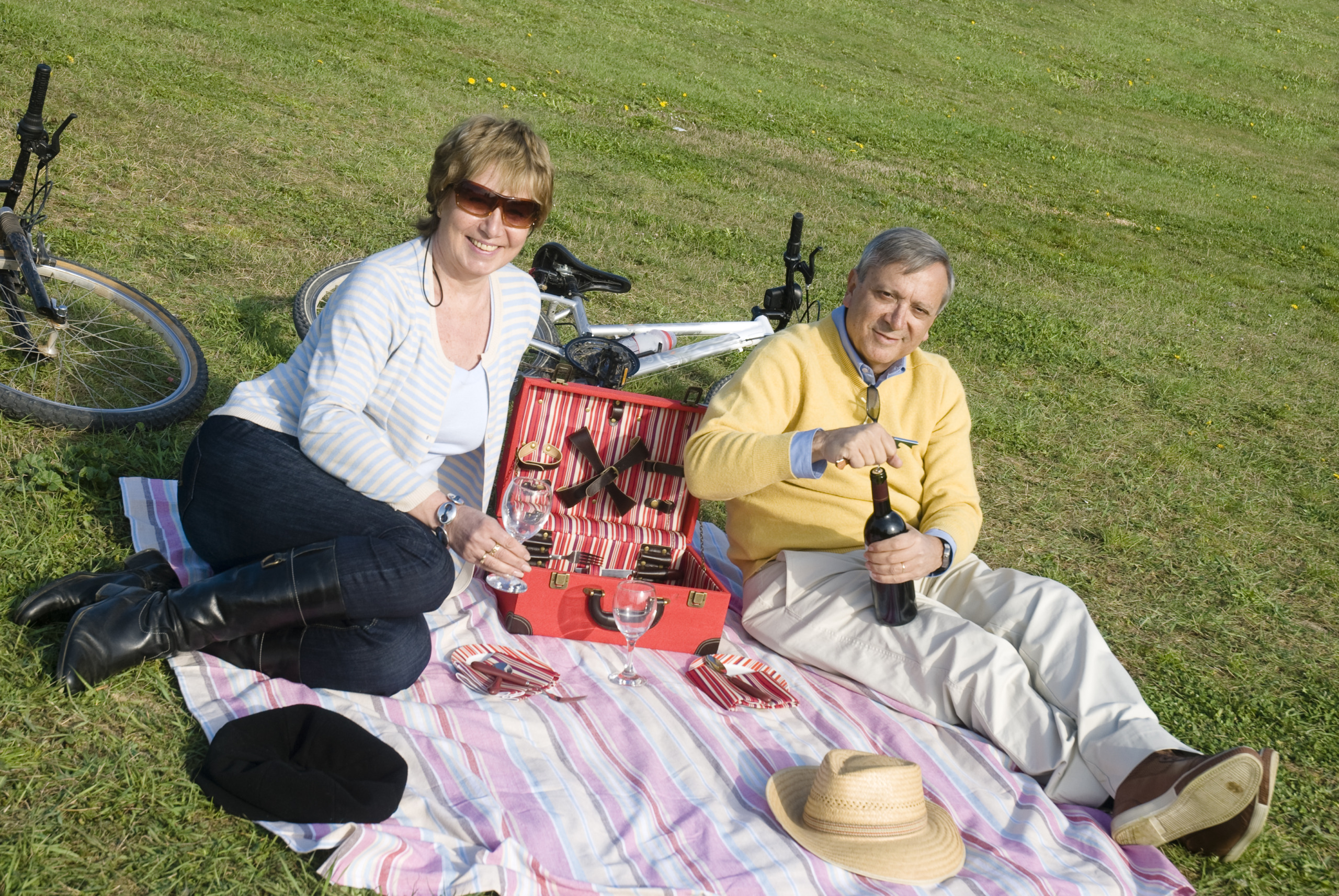 Mature couple picnic