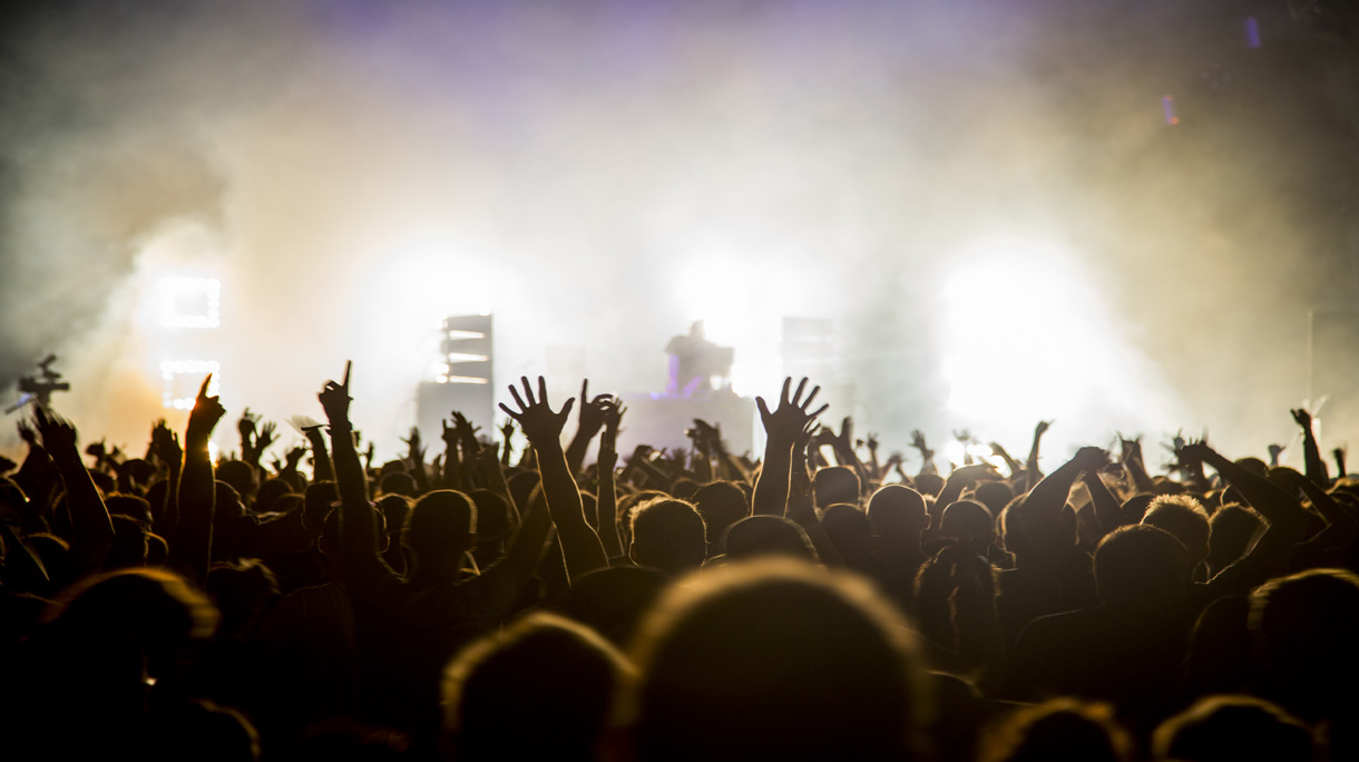 Fans with raised arms at music Festival