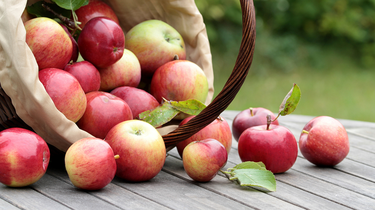 Organic red apples in a basket on the old table