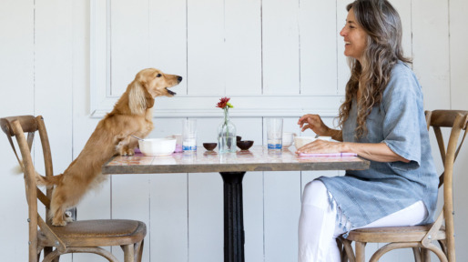 Woman having breakfast with her pet dog, long haired dachshund