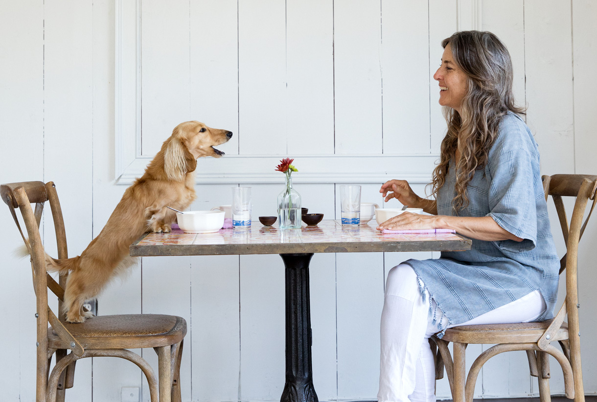 Woman having breakfast with her pet dog, long haired dachshund