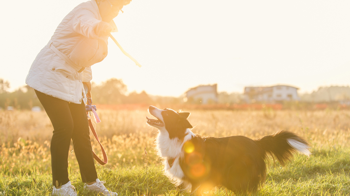 istock-496074964