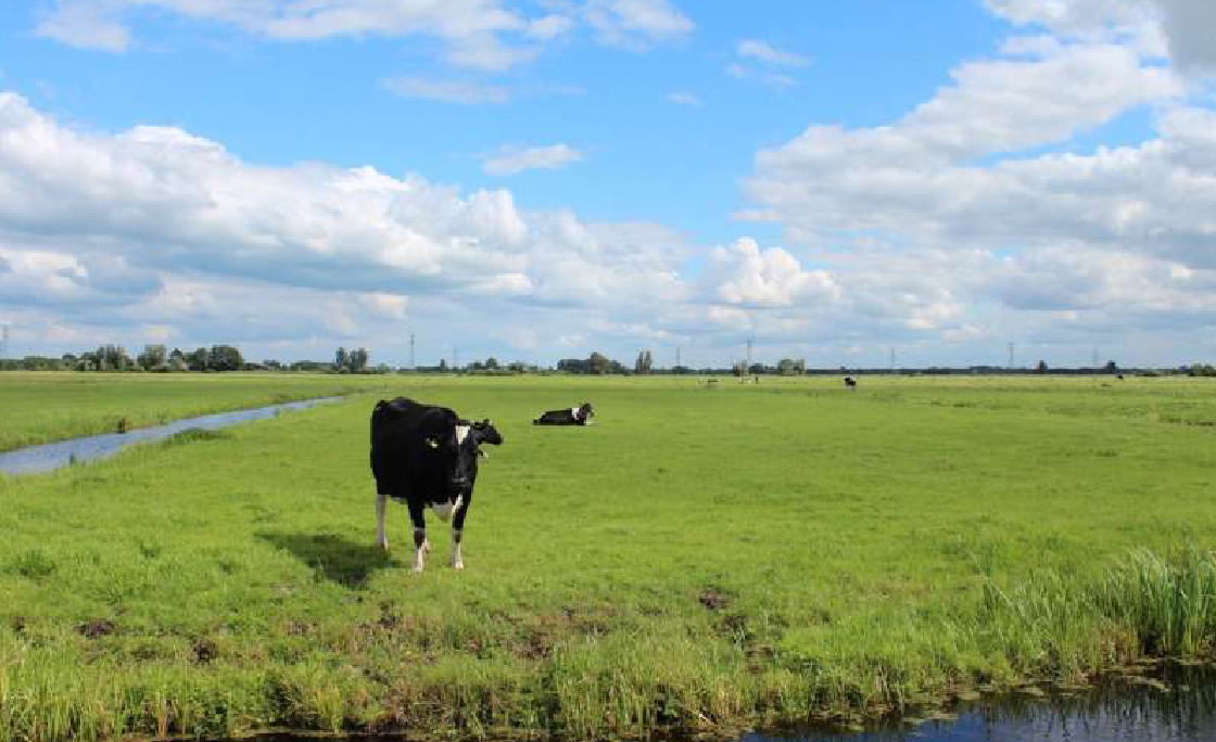 naamloos-1_51