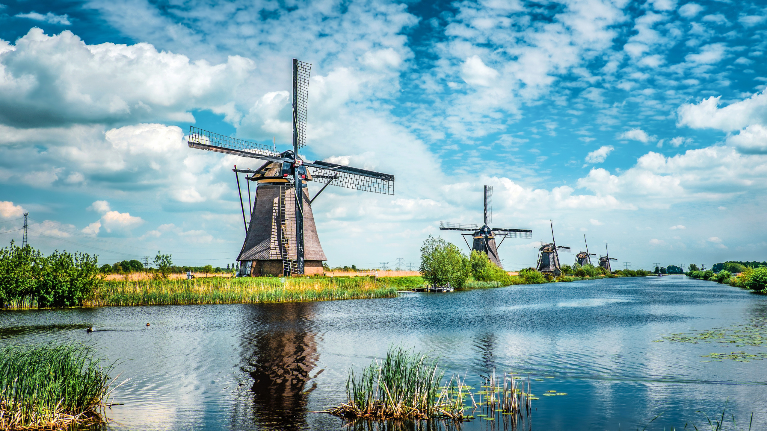 Traditional Dutch windmills