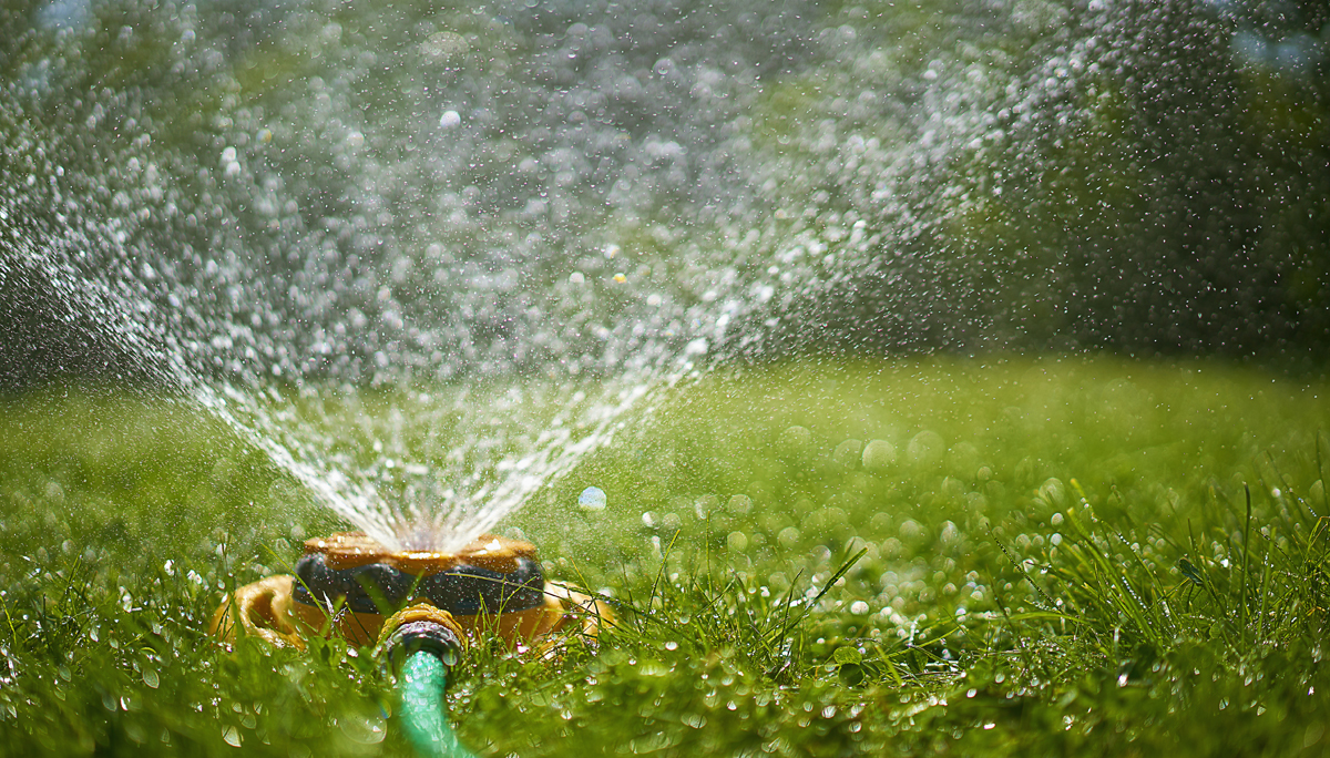 Surface level view of backyard sprinkler spraying