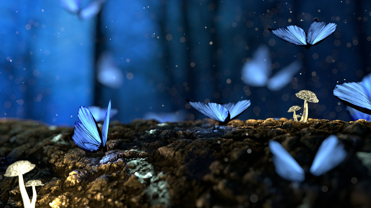 Close-Up Of Butterflies And Mushroom On Field At Night