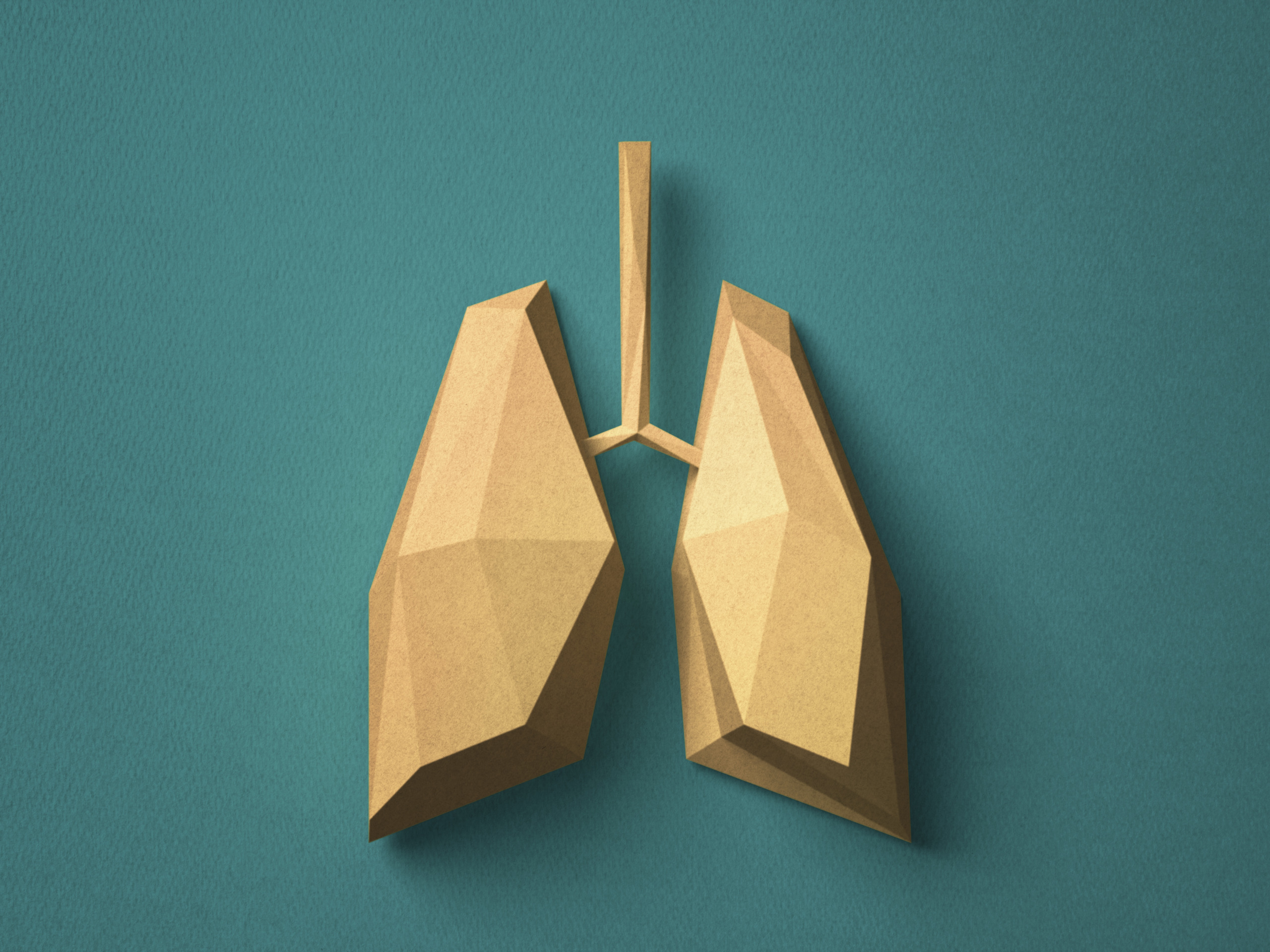 Paper craft Lung