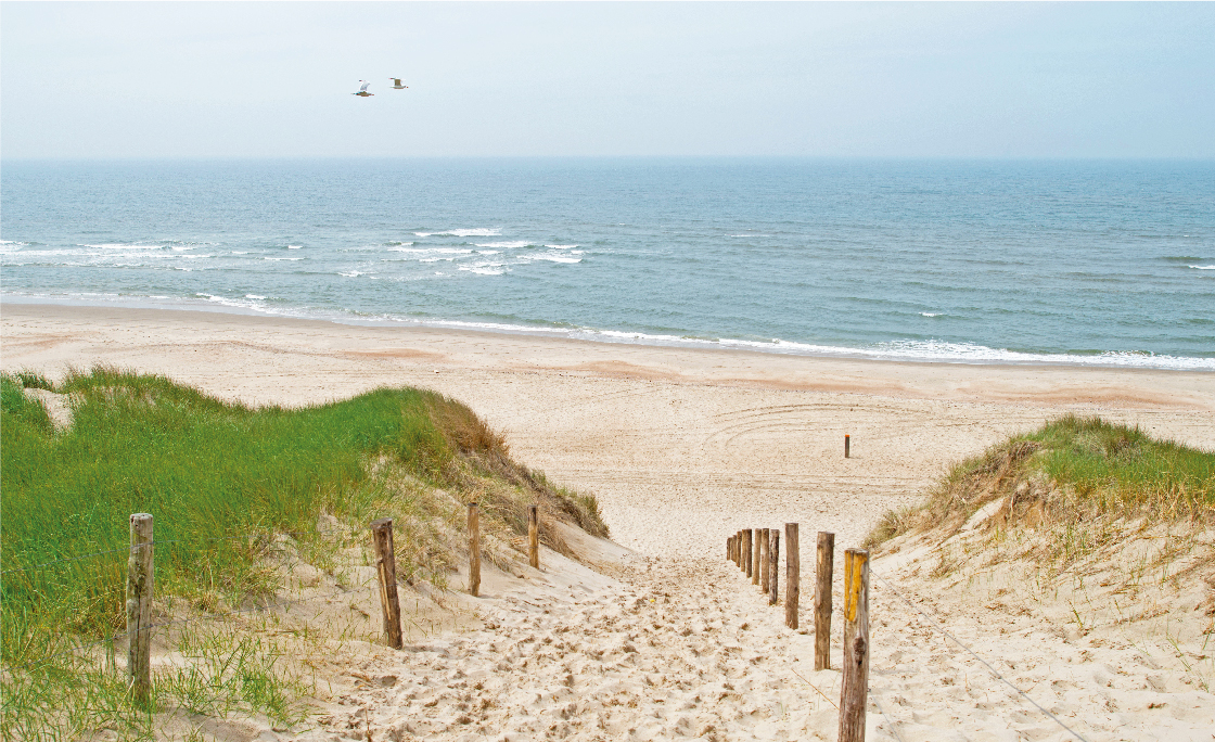 castricum