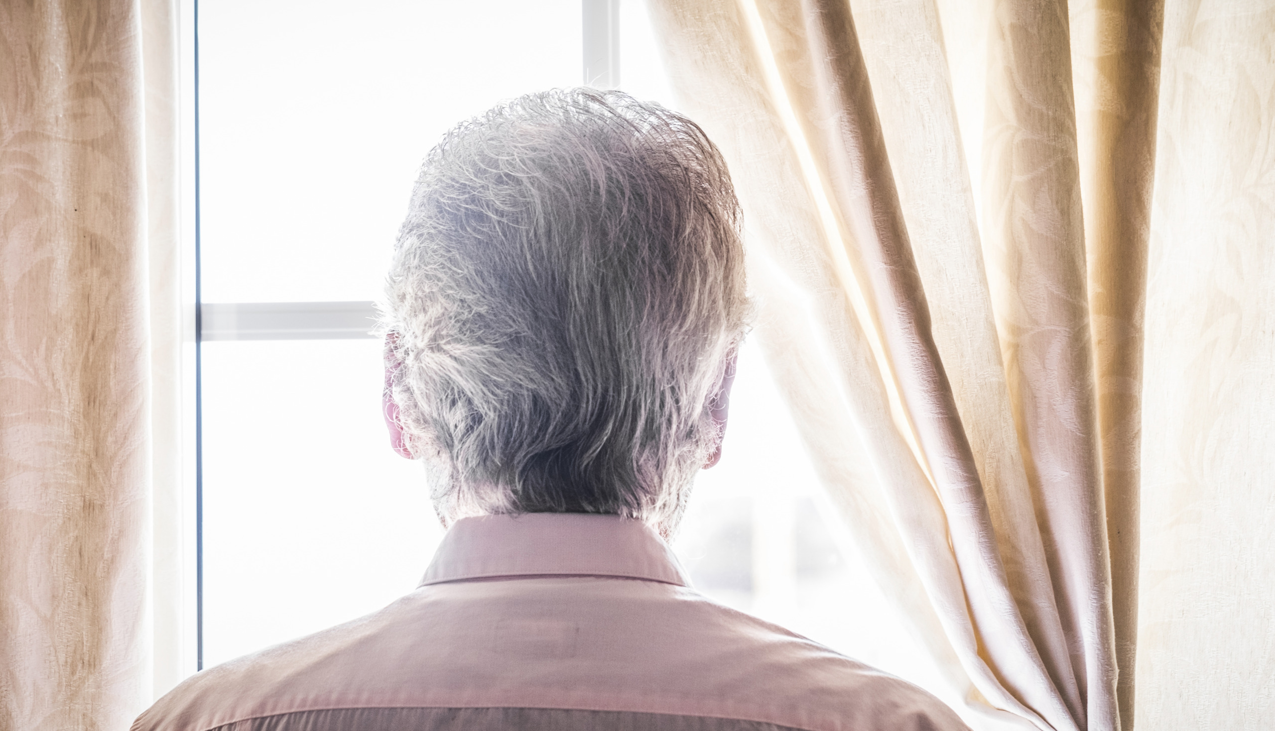 Rear View Of Man In Window At Home