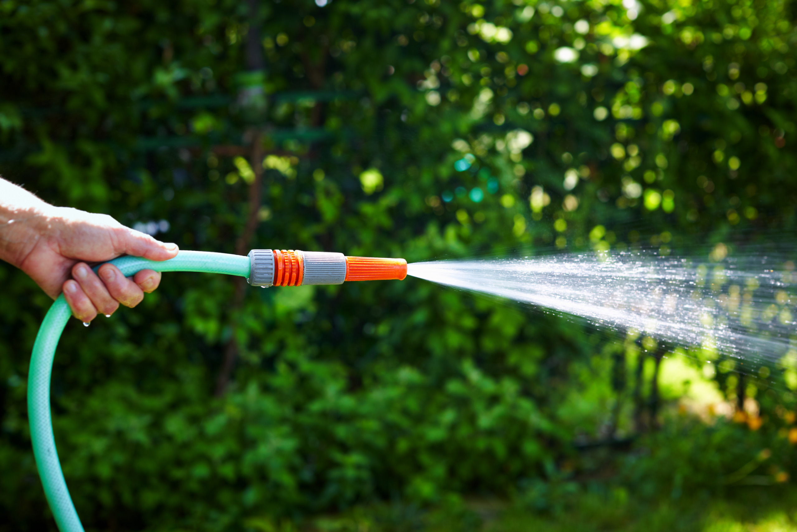 A hand holding a watering hose pipe