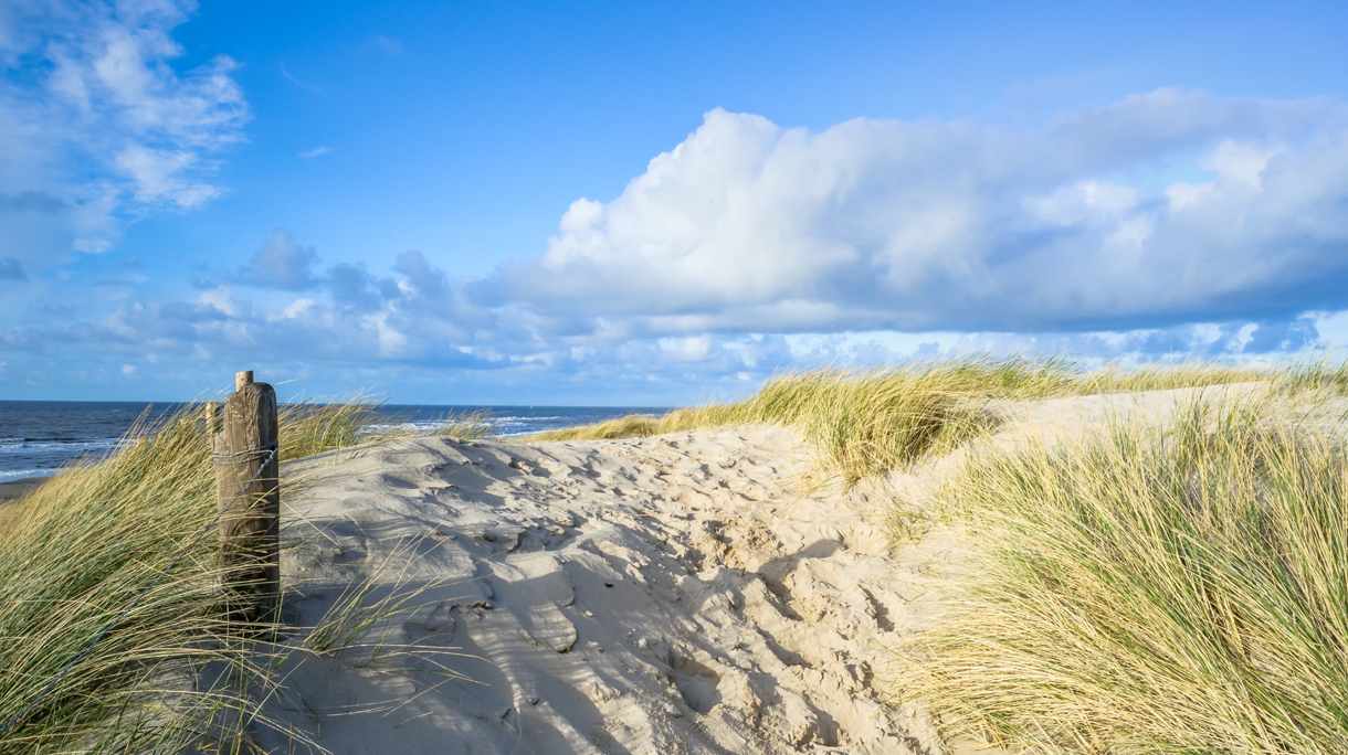 View on the beach from the sand dunes