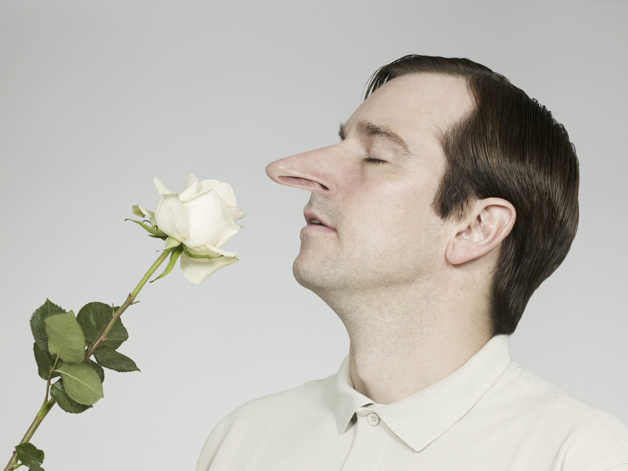 Man with big nose smelling rose