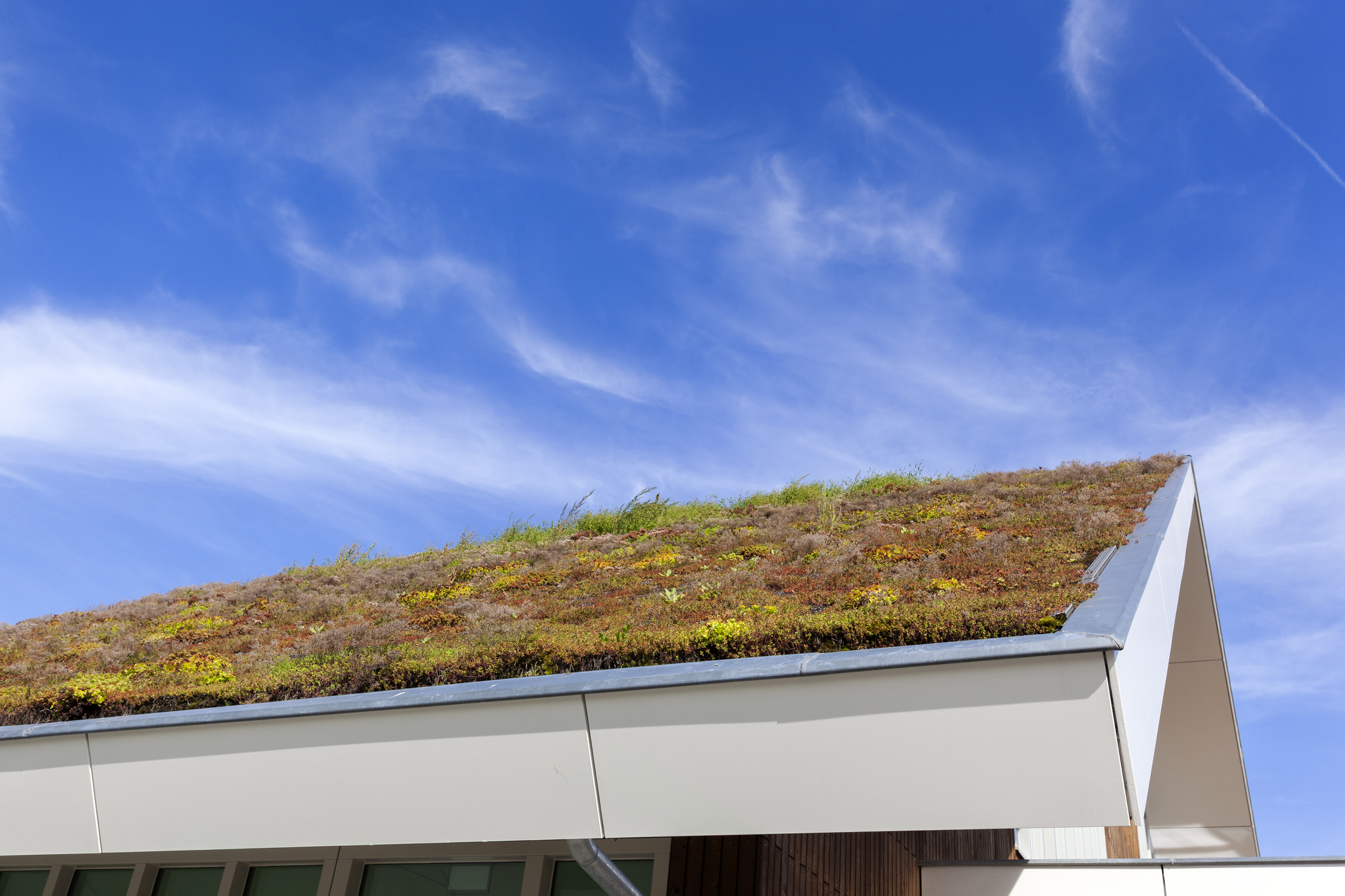 Sustainable and ecological green roof
