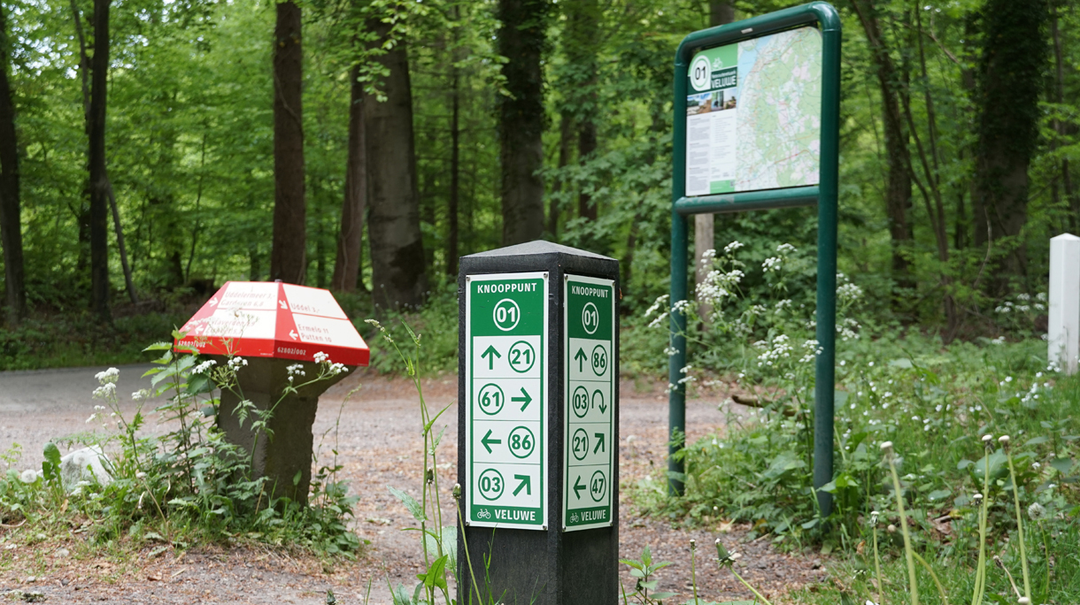 Numbered bicycles tracks