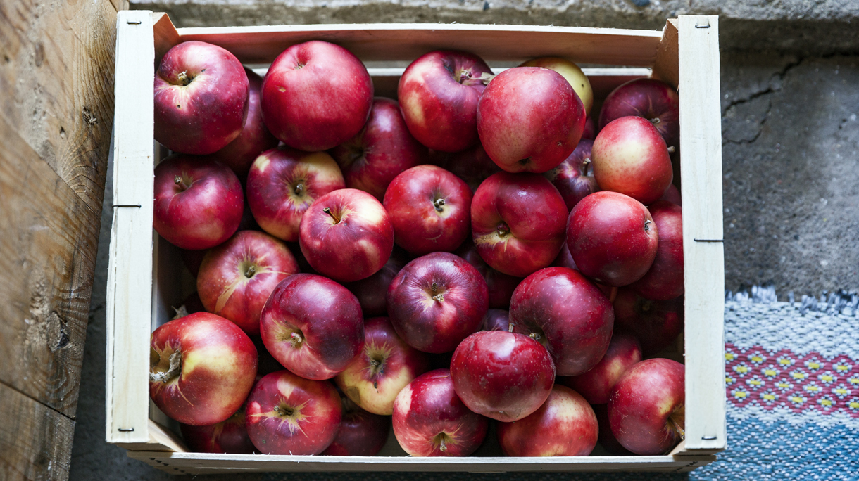 Apples in crate