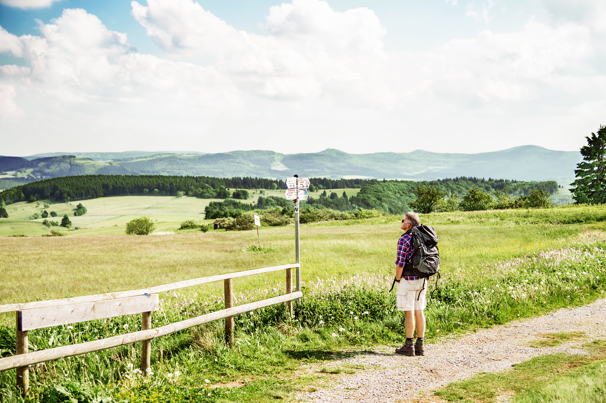 Hiker with backpack, looking at signpost