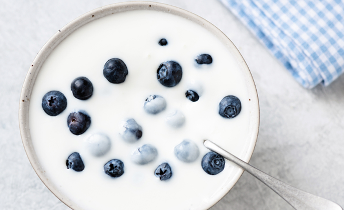 Yogurt with blueberries in bowl