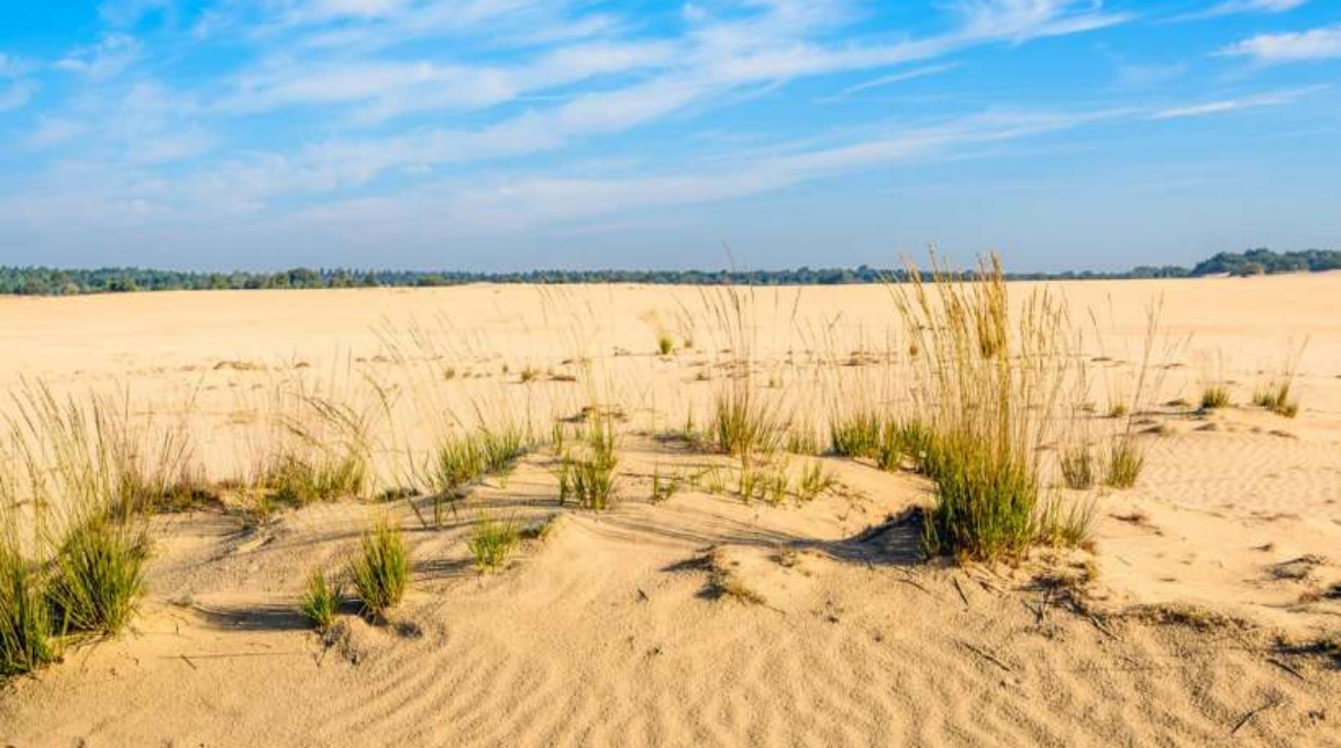 loonse-drunense-duinen_0