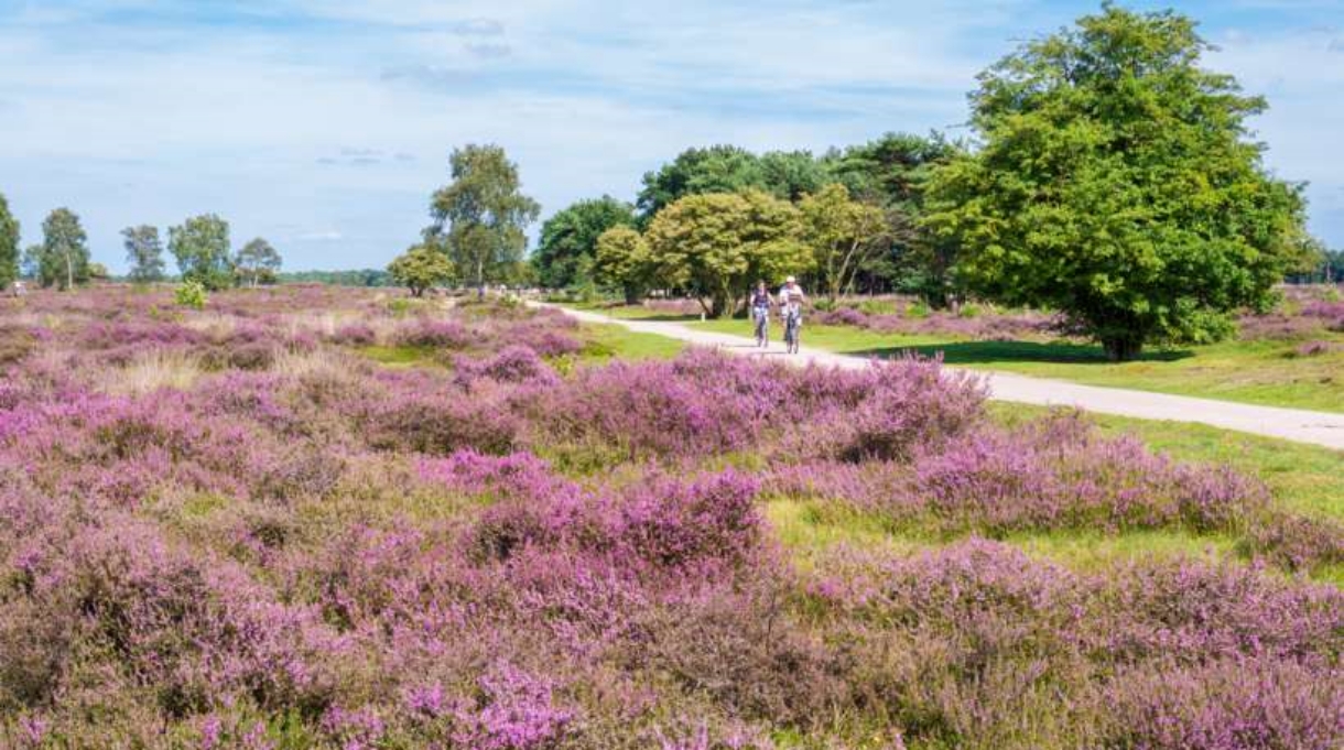 routegids-nh-vestingen-bossen-en-heide
