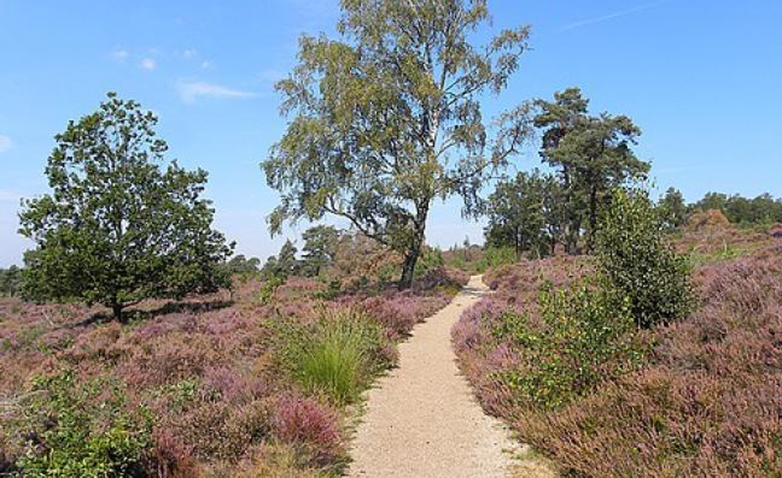 Nijverdal