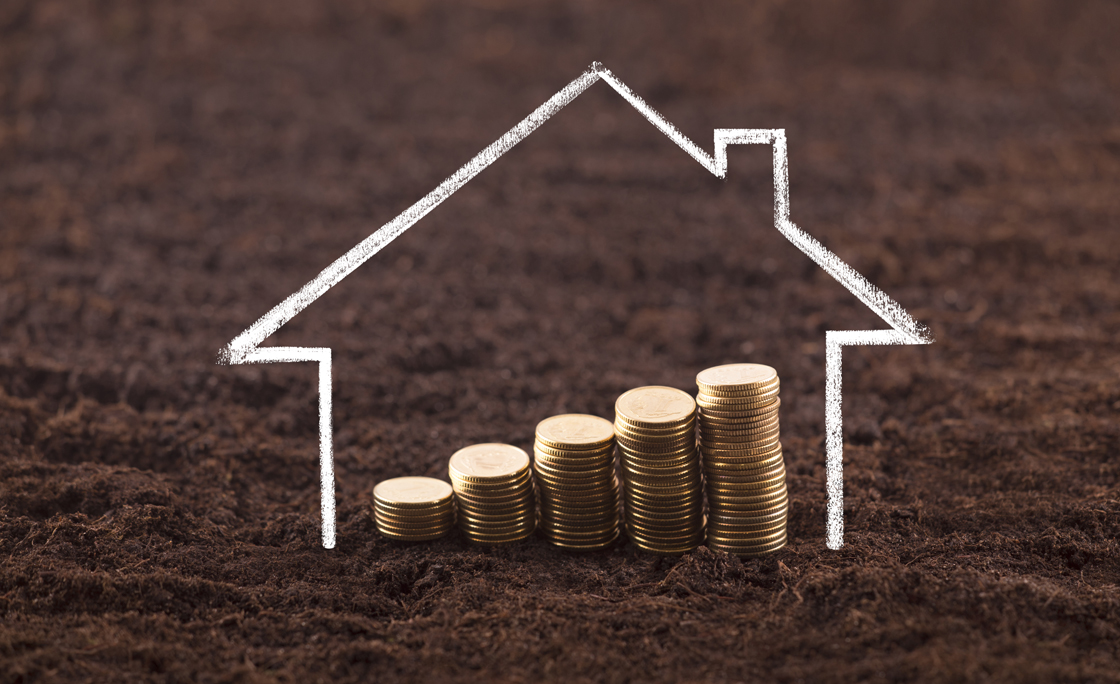 Drawing house with growing coins on fertile soil land