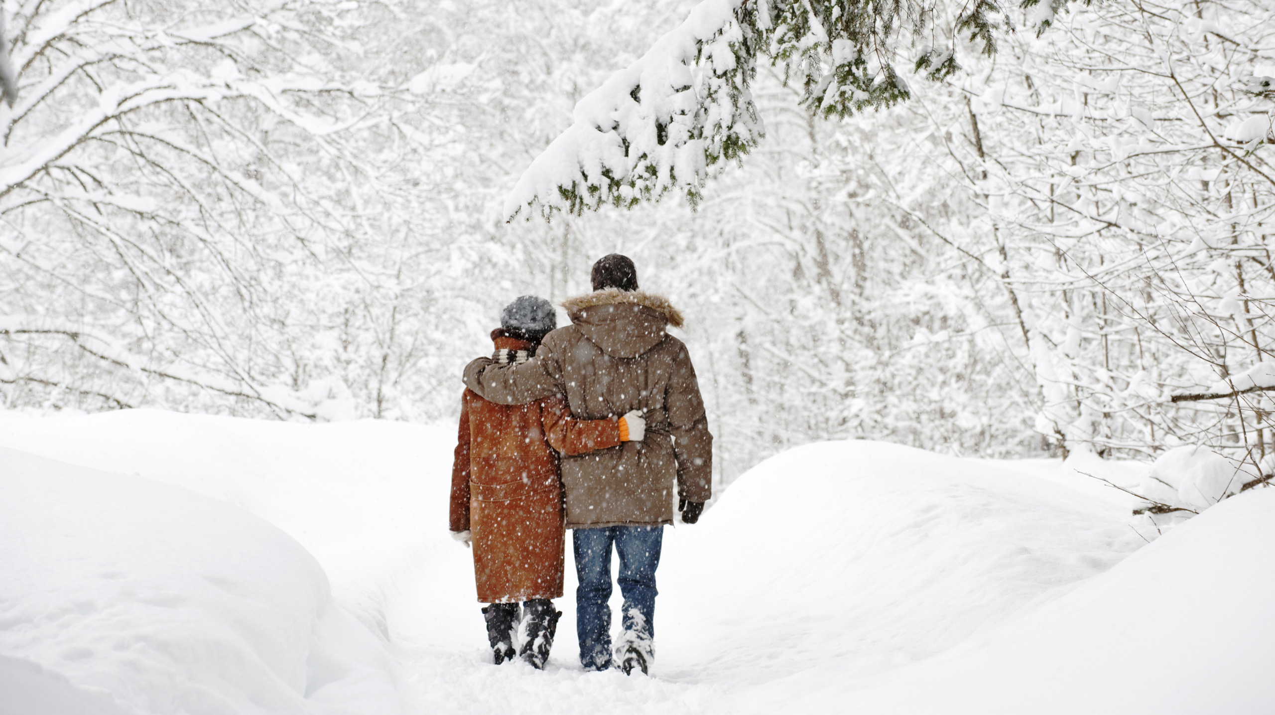 Austria, Salzburger Land, Altenmarkt, Couple walking in snow covered landscape, rear view