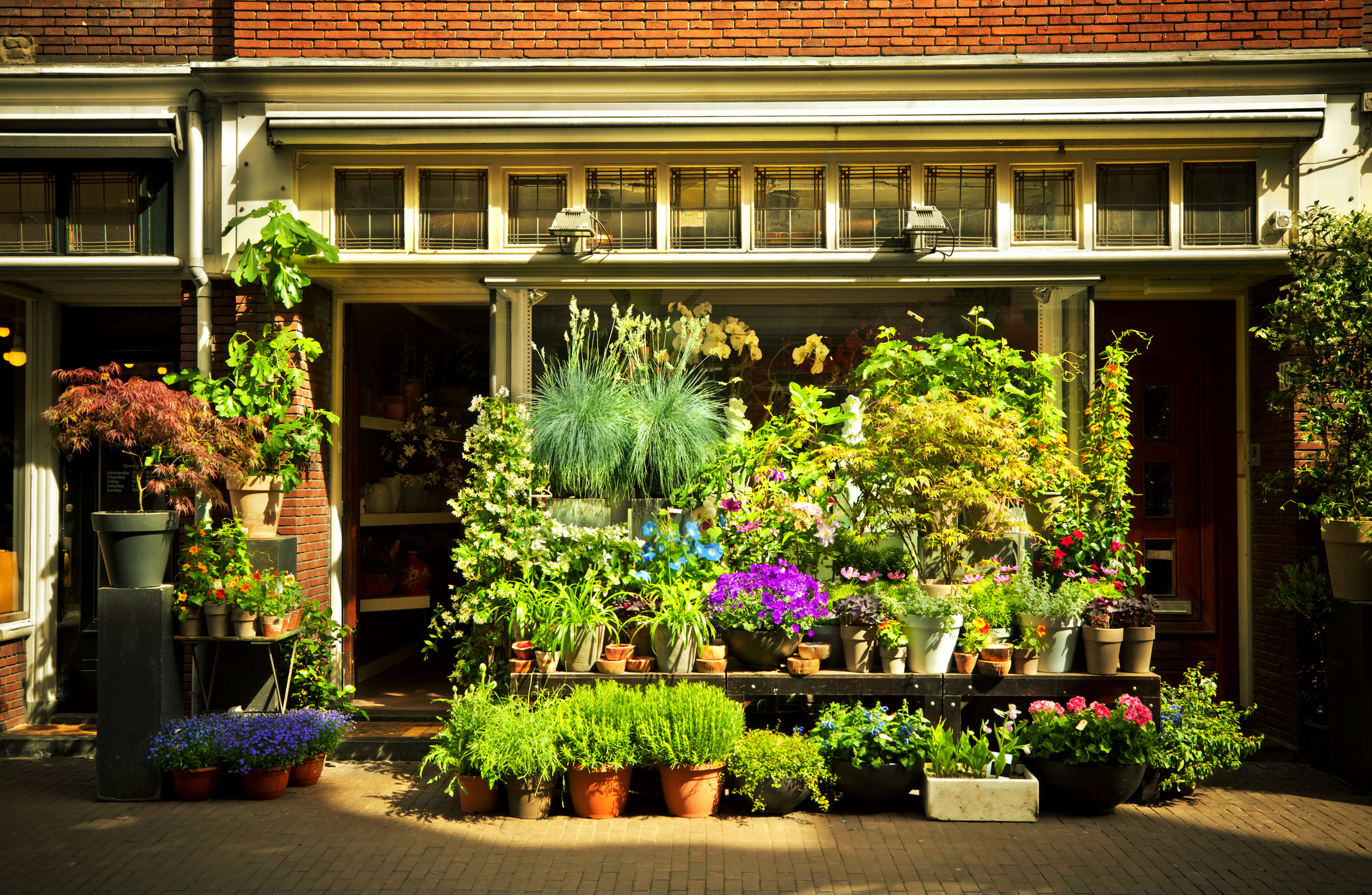 Flower Shop