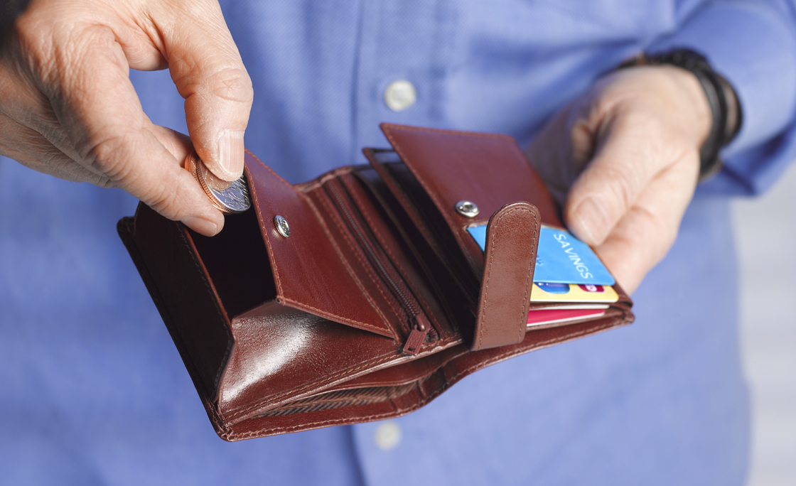 COINS AND SAVINGS WALLET