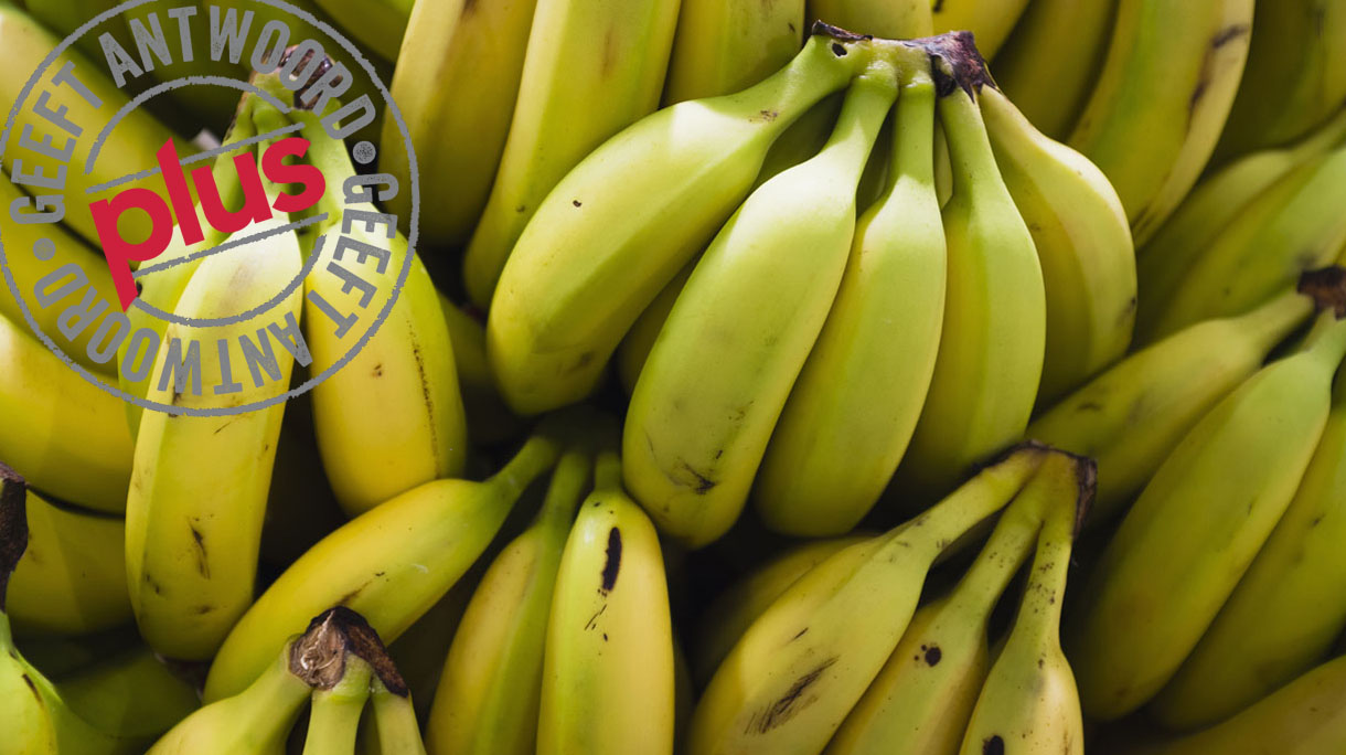 bananen-pol