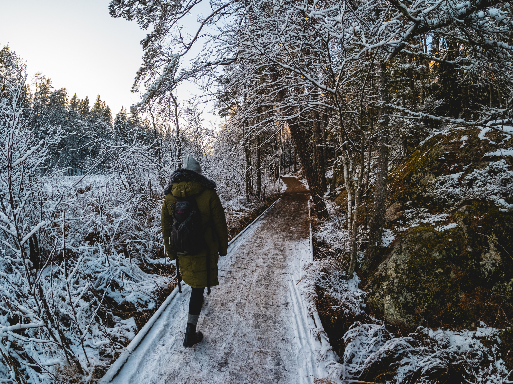 Rear View Of Person Walking On Snow Covered Plants