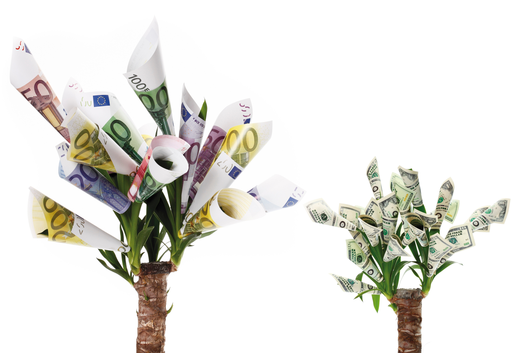 Plant with flowers made from euro and dollar notes against white background