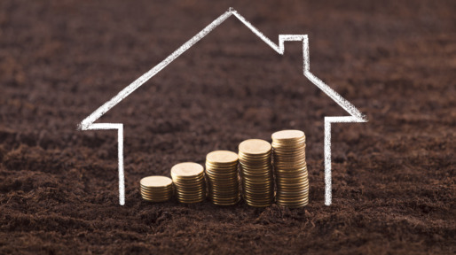 Drawing house with growing coins on fertile soil land