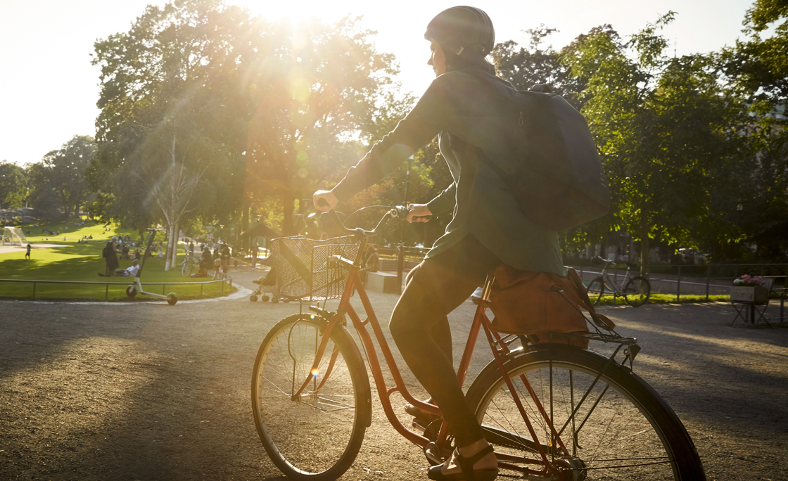 Full length of female architect riding bicycle on street during sunny day