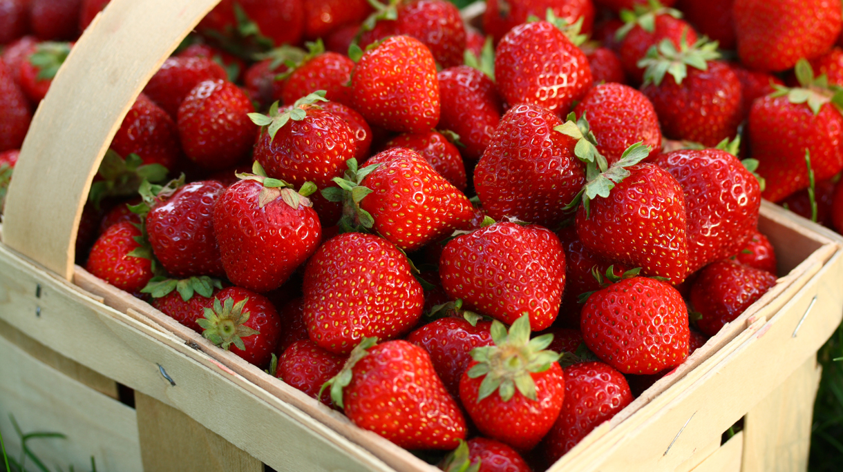 Home Grown Strawberries in Wooden Basket