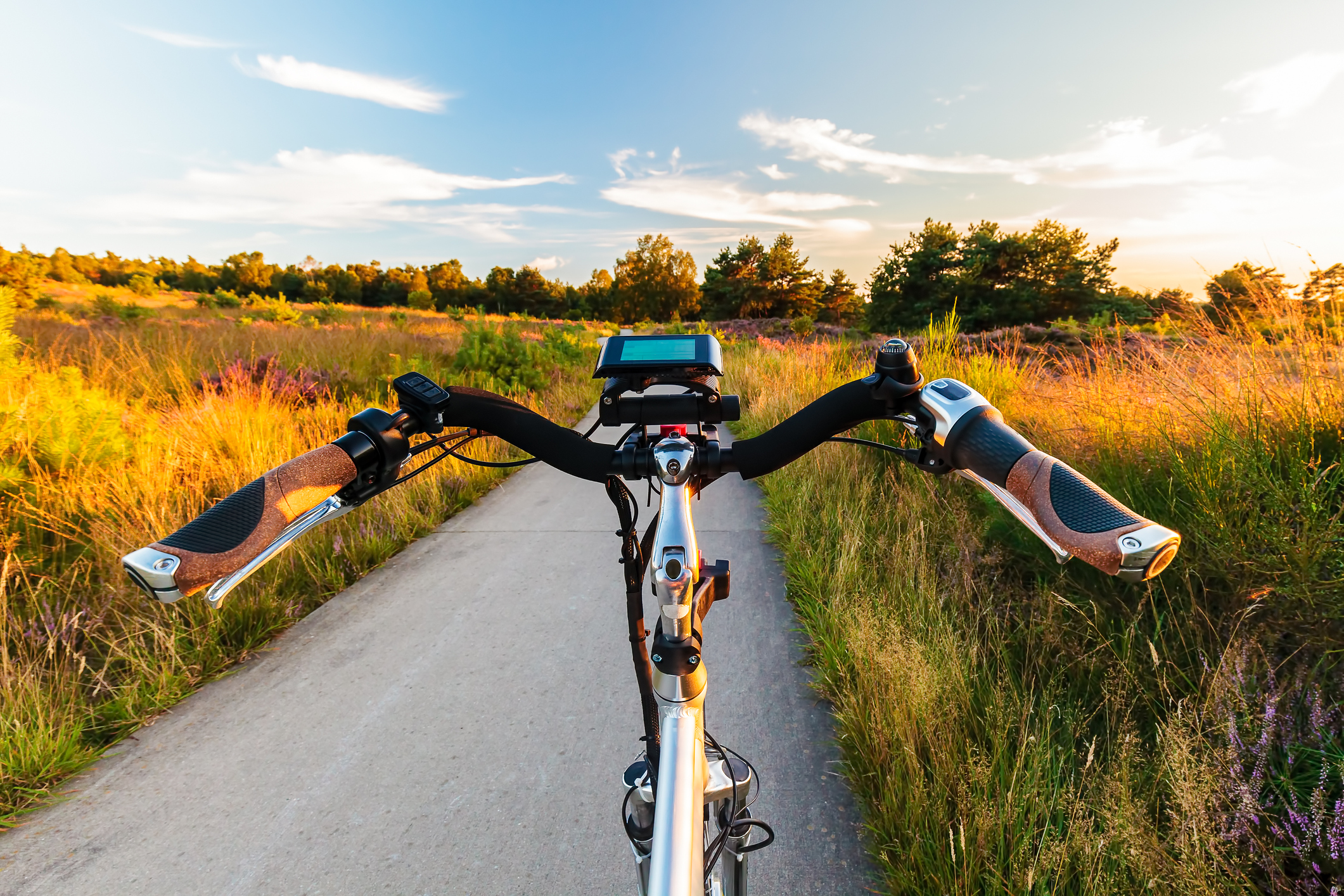 ebike
