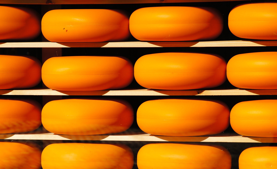 Rows Of Yellow Gouda Cheese On Shelf