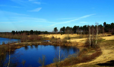 routegids-li-paraboolduinen-langs-de-maas