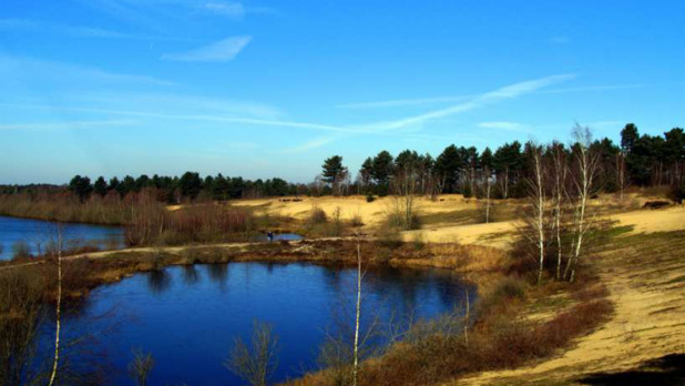 routegids-li-paraboolduinen-langs-de-maas