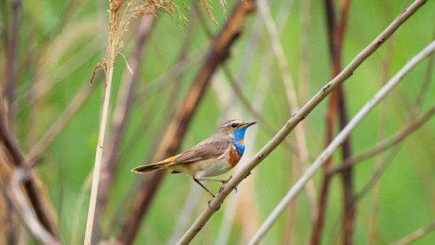 routegids-nh-de-amsterdamse-waterleidingduinen