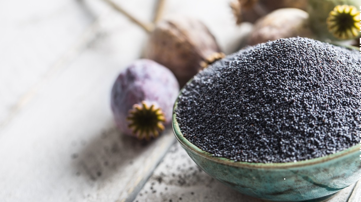 Poppy seed with their heads on wooden boards.